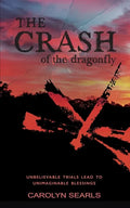 The Crash of the Dragonfly: Unbelievable Trials Lead to Unimaginable Blessings - Paperback