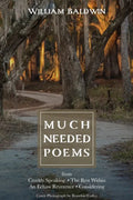 Much Needed Poems - Paperback