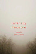 Infinity Minus One - Paperback