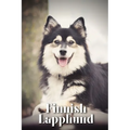 Finnish Lapphund: Dog breed overview and guide - Paperback