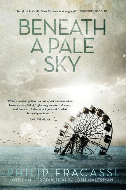 Beneath a Pale Sky - Paperback