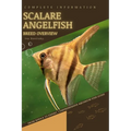 Scalare Angelfish: From Novice to Expert. Comprehensive Aquarium Fish Guide - Paperback