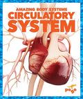 Circulatory System - Paperback