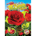 See a Rose Grow - Library Binding