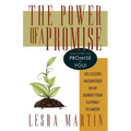 The Power of a Promise: Life Lessons Encountered on My Journey from Illiteracy to a Lawyer - Paperback