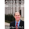 Pillars of Wealth: Finance & Business Essentials for Medical Practices - Paperback