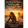 He's Clean and Sober...So Where's My Happily Ever After?: A Guide to Seeing, Naming, and Healing From Post-Addiction Abuse - Paperback