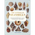 The Wonder of Seashells: Discover the Meaning & Magic of the Ocean's Treasures - Hardcover