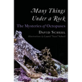 Many Things Under a Rock: The Mysteries of Octopuses - Hardcover