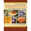 Edible and Medicinal Mushrooms of New England and Eastern Canada: A Photographic Guidebook to Finding and Using Key Species - Paperback