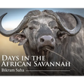 Days in the African Savannah - Hardcover