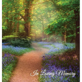 "In Loving Memory" Funeral Guest Book, Memorial Guest Book, Condolence Book, Remembrance Book for Funerals or Wake, Memorial Service Guest Book: A Cel - Hardcover