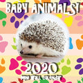 Baby Animals! 2020 Mini Wall Calendar - Paperback