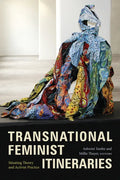 Transnational Feminist Itineraries: Situating Theory and Activist Practice - Paperback