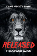 Released: Your Destiny Awaits - Paperback