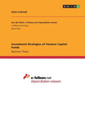 Investment Strategies of Venture Capital Funds - Paperback