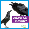 Crow or Raven? - Library Binding