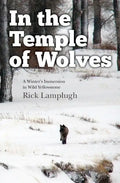 In the Temple of Wolves: A Winter's Immersion in Wild Yellowstone - Paperback
