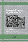 Hexaferrite Permanent Magnetic Materials - Paperback