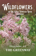 Wildflowers of The Little Tennessee River Greenway - Paperback