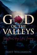God of the Valleys: Mysteries along Life's Journey - Paperback