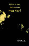 What Now? - Paperback