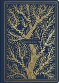 ESV Illuminated Scripture Journal: Romans - Paperback