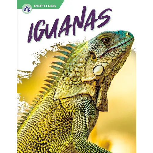 Iguanas - Paperback