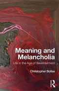 Meaning and Melancholia: Life in the Age of Bewilderment - Paperback