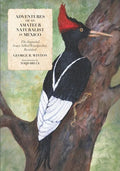 Adventures of an Amateur Naturalist in Mexico: The Imperial Ivory-billed Woodpecker, Revisited - Paperback