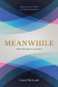 Meanwhile: Meeting God in the Wait: Meeting God in the Wait - Paperback