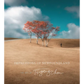 Impressions of Newfoundland: The Art of Ting Ting Chen - Paperback