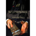 Big Crime and Big Policing: All about Big Money? - Paperback