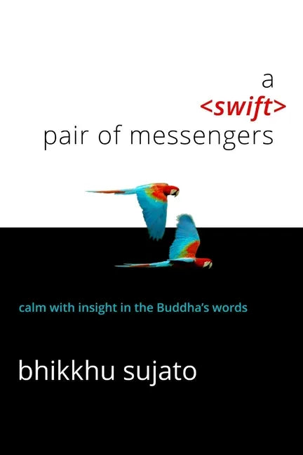 A Swift Pair of Messengers - Paperback