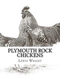 Plymouth Rock Chickens: From The Book of Poultry - Paperback