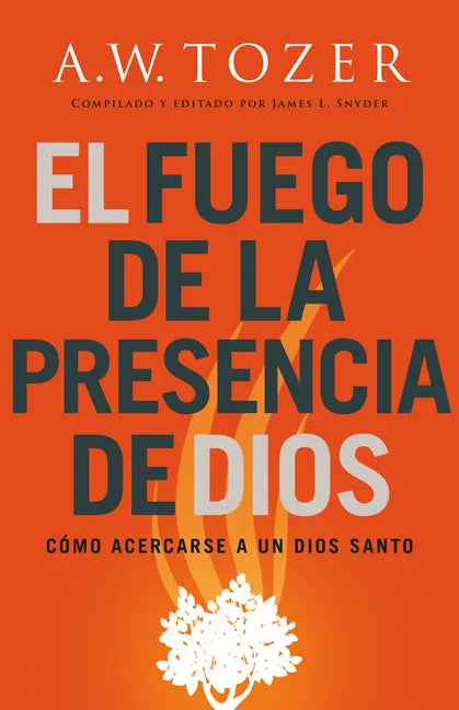 El Fuego de la Presencia de Dios: Cómo Acercarse a Un Dios Santo (Spanish Language Edition, Fire of God's Presence (Spanish)) - Paperback