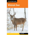 Whitetail Deer - Paperback