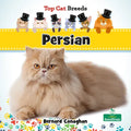 Persian - Paperback