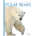 Polar Bears - Library Binding