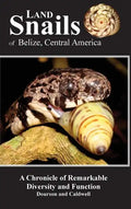 Land Snails of Belize, Central America: A Remarkable Chronicle of Diversity and Function - Hardcover