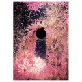 Taiyo Onorato & Nico Krebs: Water Column - Paperback