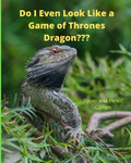 Do I Even Look Like a Game of Thrones Dragon: Paper and Pencil Games - Paperback