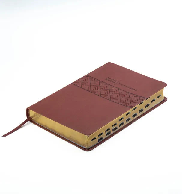 Santa Biblia de Promesas Reina Valera 1960 / Letra Gigante - 13 Puntos / Piel Especial Con Índice / Café // Spanish Promise Bible Rvr 1960 / Giant Pri - Imitation Leather