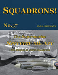 The Supermarine Spitfire Mk XIV: The Belgian and Dutch Squadrons - Paperback
