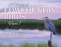 A Collection of Lowcountry Birds - Paperback