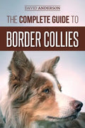 The Complete Guide to Border Collies: Training, teaching, feeding, raising, and loving your new Border Collie puppy - Paperback