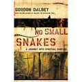 No Small Snakes: A Journey Into Spiritual Warfare - Paperback