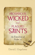 Prosperous Wicked and Plagued Saints: An Exposition of Psalm 73 - Paperback