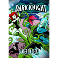 The Dark Knight: Danger on Deck! - Hardcover