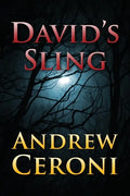 David's Sling - Paperback
